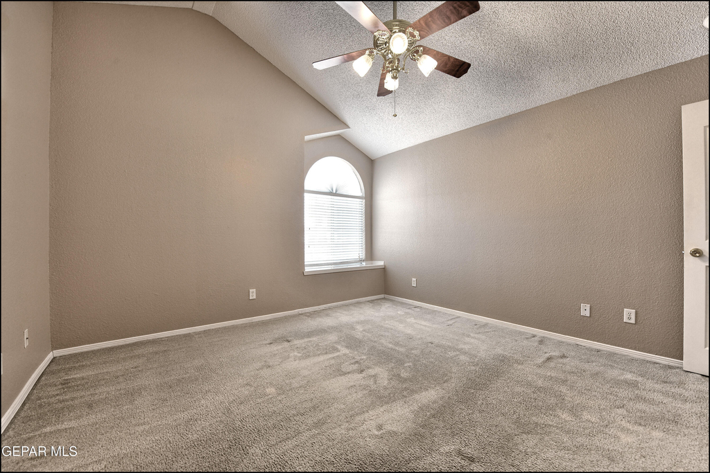 1212 Olga Mapula Drive - Photo 37