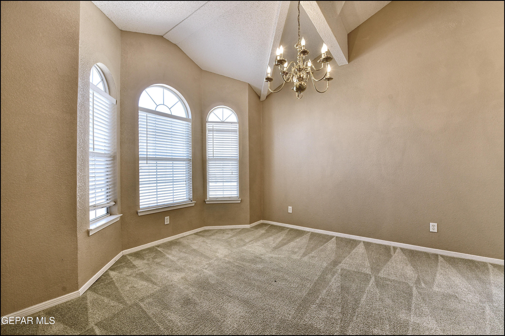 1212 Olga Mapula Drive - Photo 8