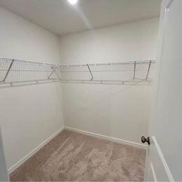1808 Grand Ridge Street - Photo 16