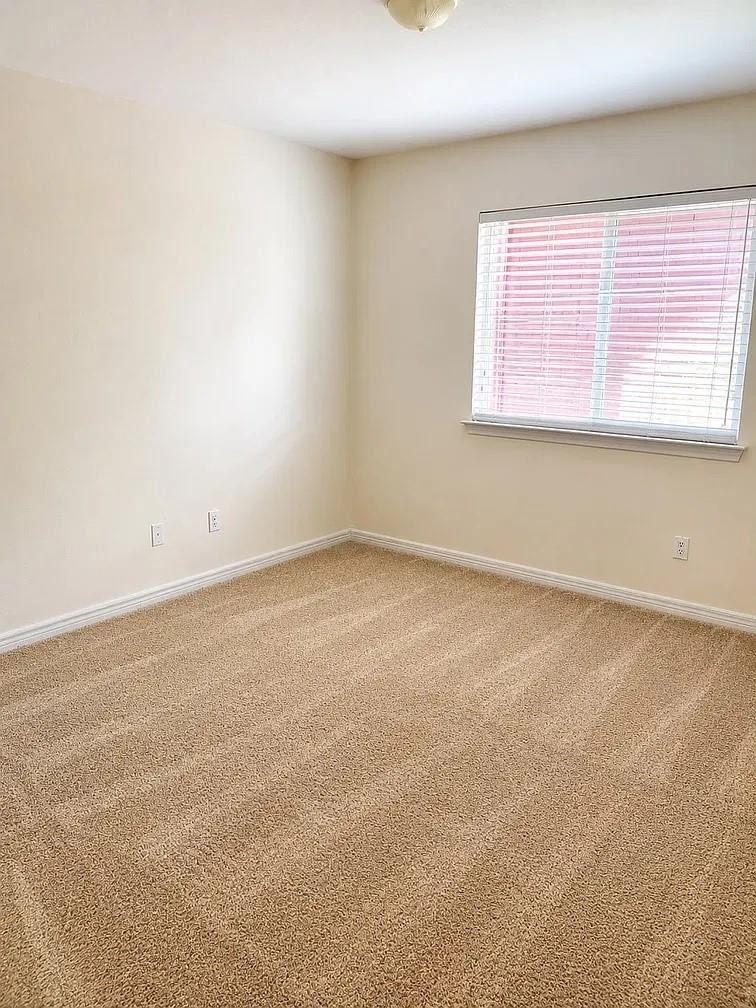 1207 Fox Trail Drive - Photo 12