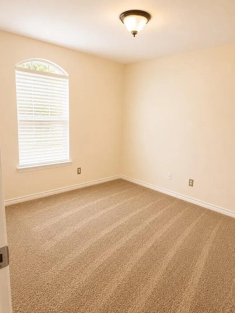 1207 Fox Trail Drive - Photo 11