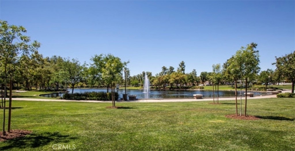 40022 Spring Place Court - Photo 61