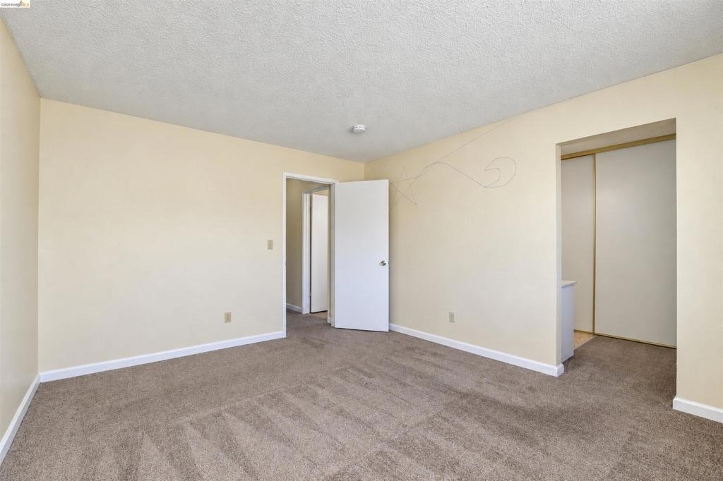 817 Basalt Way - Photo 18