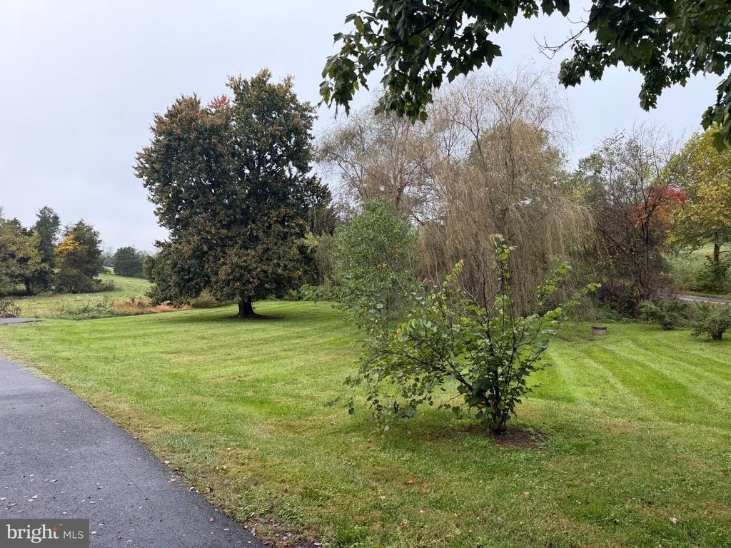 11082 Jones Mill Road - Photo 2