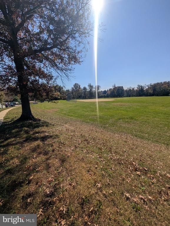 6065 Majors Lane - Photo 21