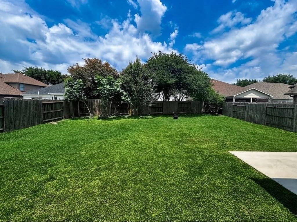 5527 Custard Apple Trail - Photo 14