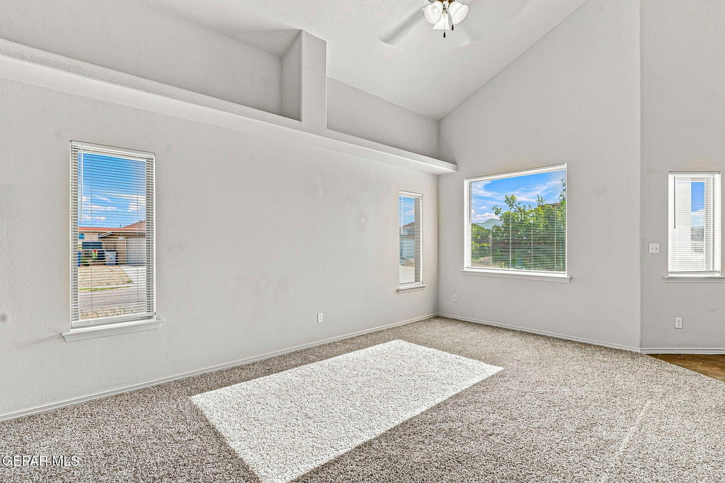 12008 Copper Hill Place - Photo 4