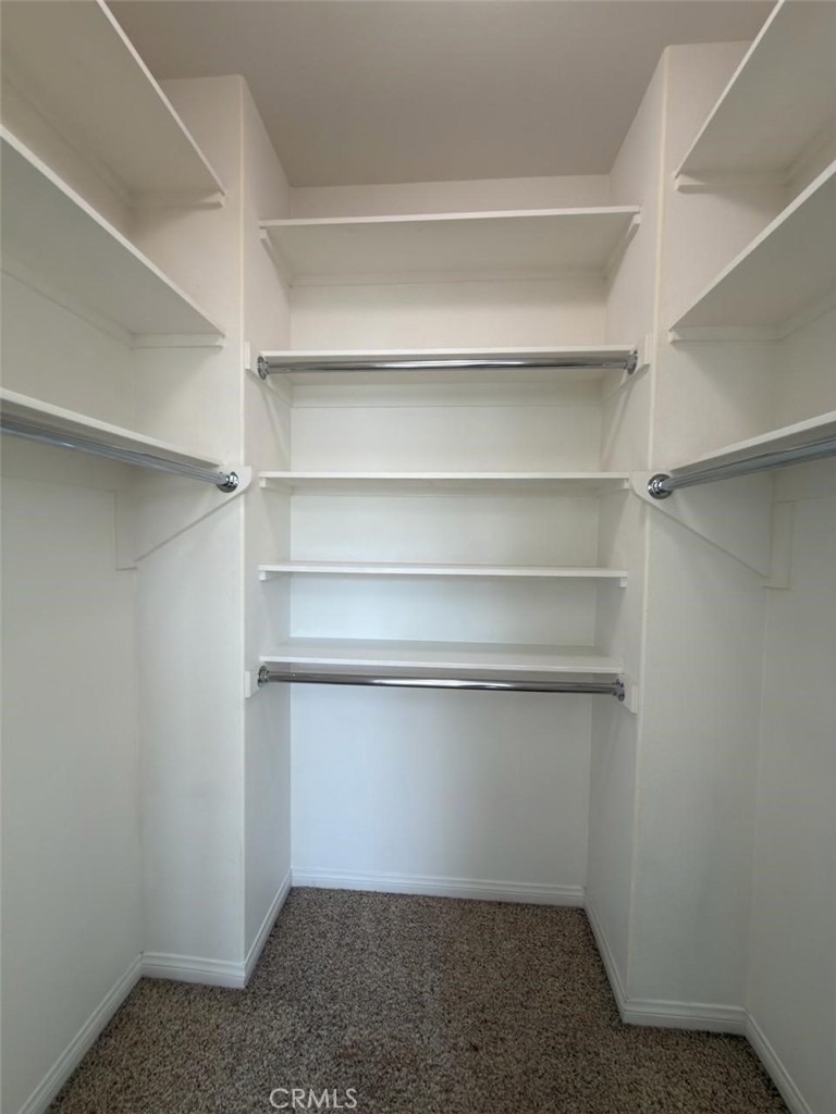 53 Calypso - Photo 28