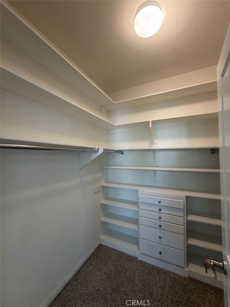53 Calypso - Photo 17