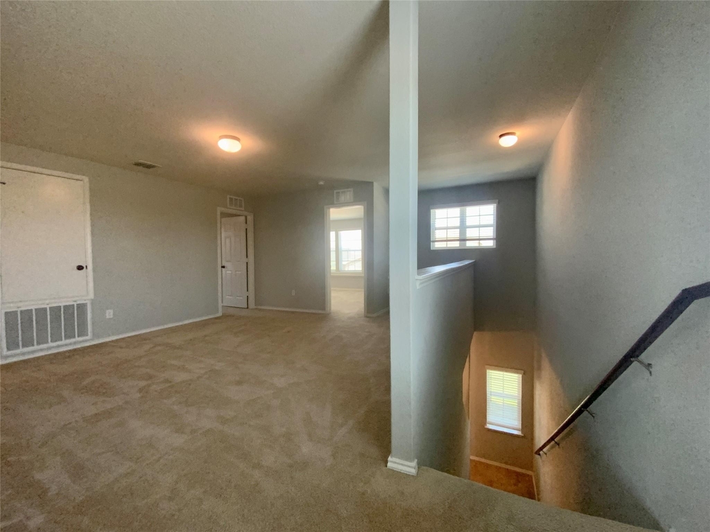 231 Elderberry - Photo 14