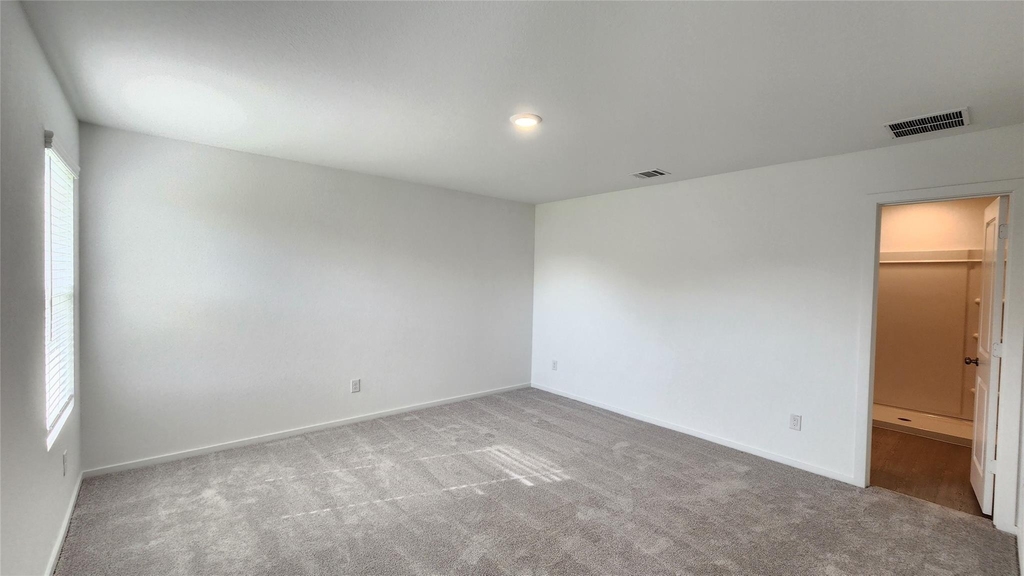 6303 Geyser Starish Drive - Photo 10