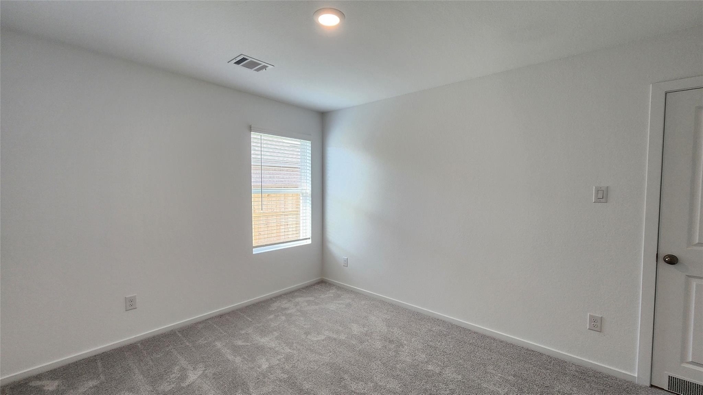 6303 Geyser Starish Drive - Photo 23