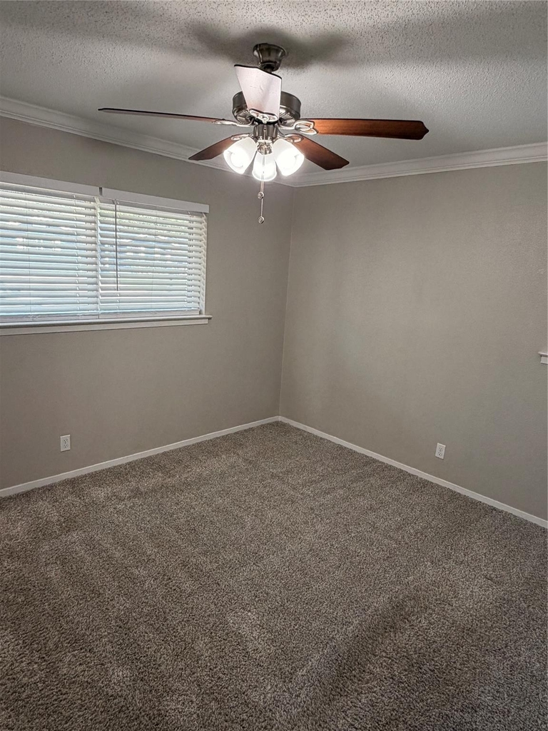 725 Willow Street - Photo 13
