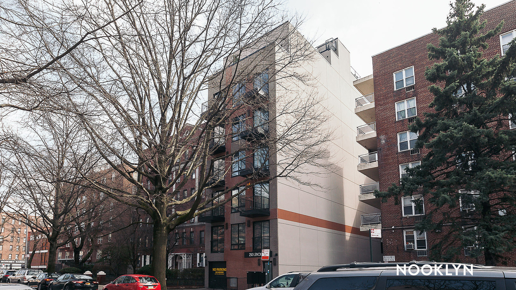 250 Lenox Rd - Photo 16