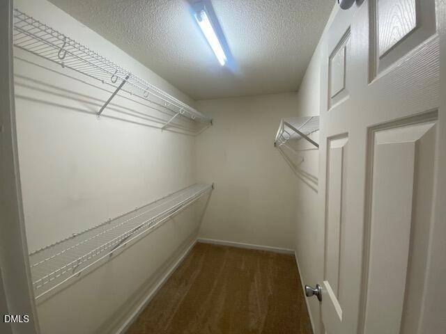 221 Hollyhock Lane - Photo 8