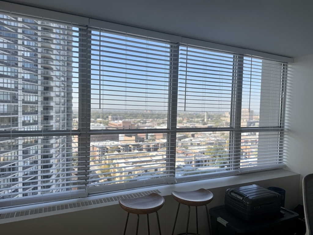 655 W Irving Park Road - Photo 11