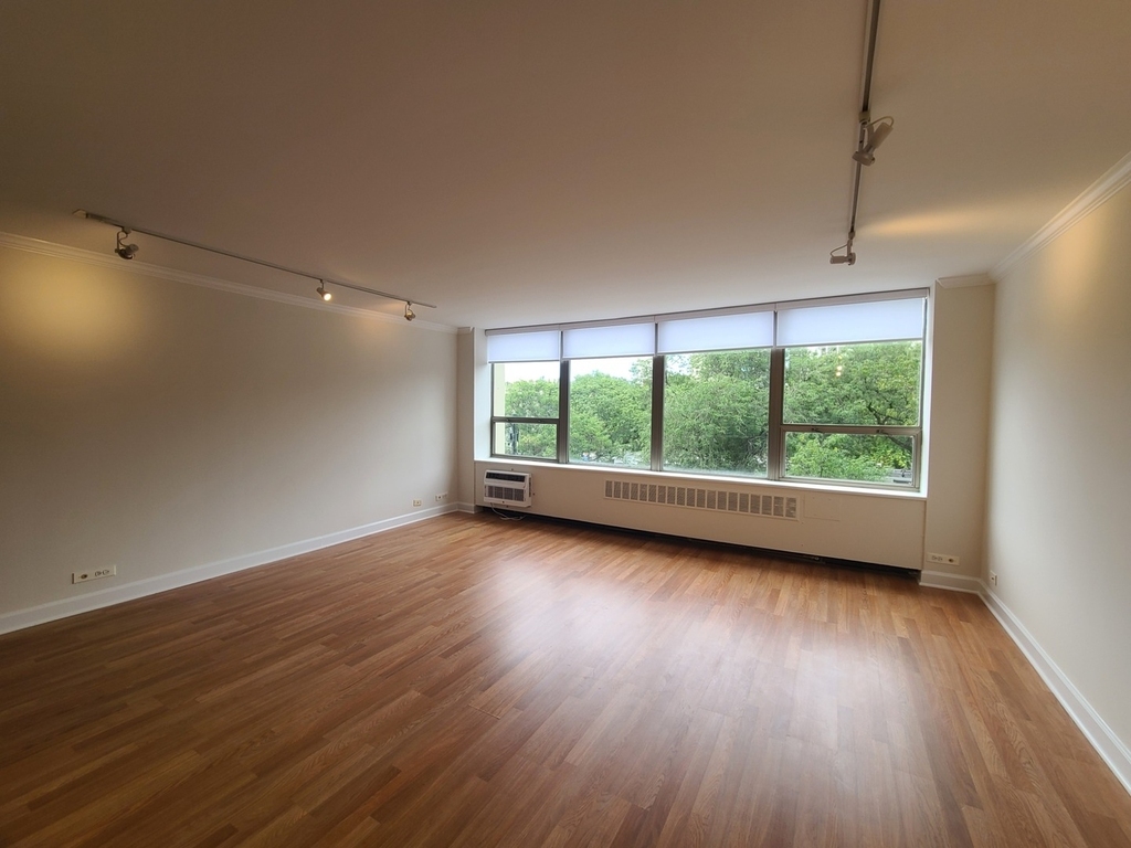 1360 N Sandburg Terrace - Photo 3