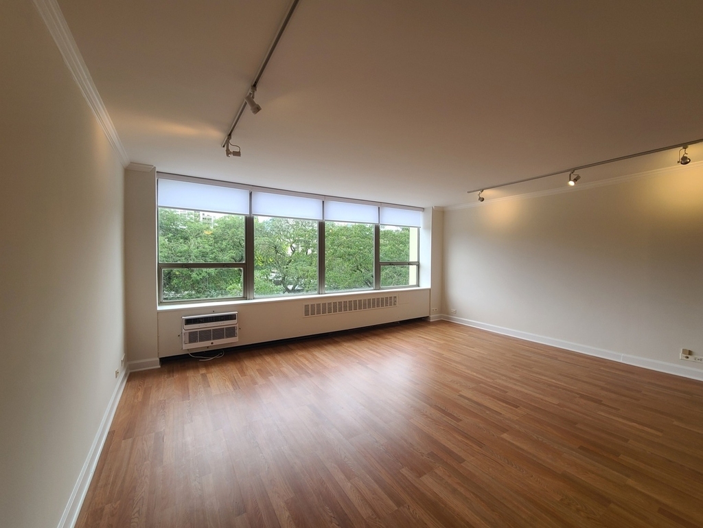 1360 N Sandburg Terrace - Photo 2