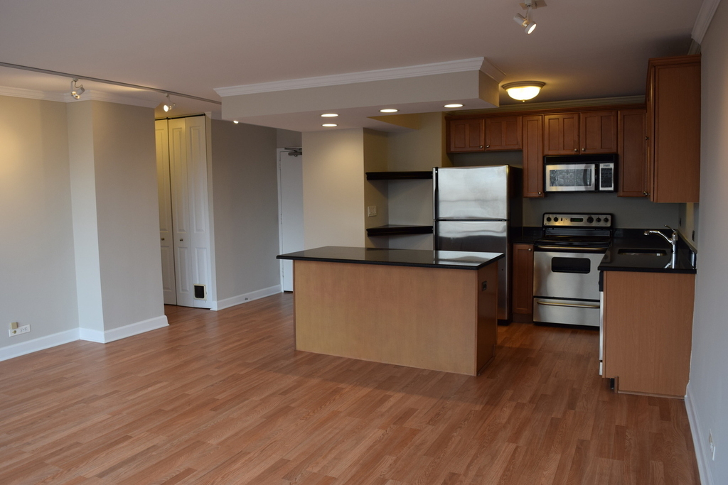 1360 N Sandburg Terrace - Photo 4