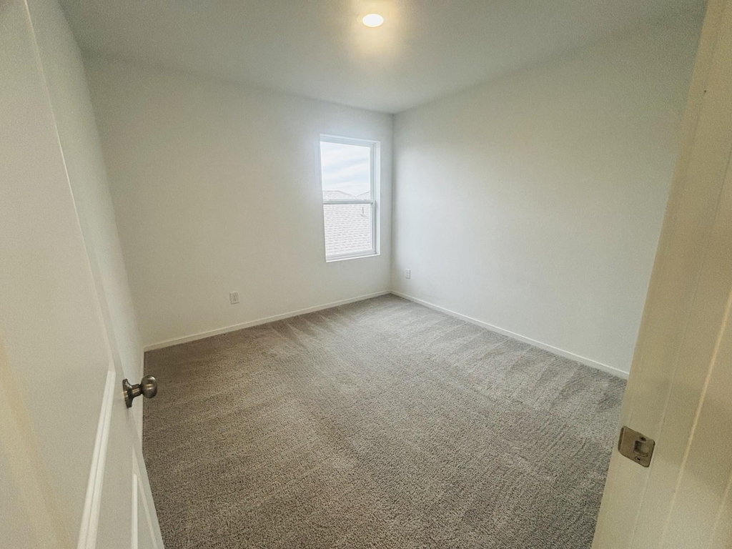 28711 Bottom Grass Trail - Photo 18