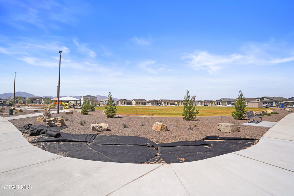 7480 Rio Rimac Drive - Photo 5