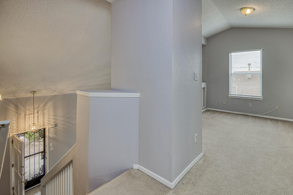 12305 Golden Sun Drive - Photo 12