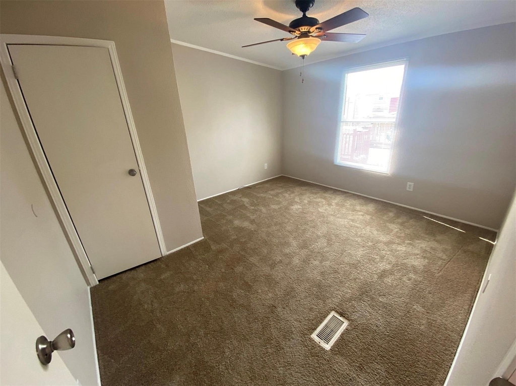 11009 Richardo Lane - Photo 12