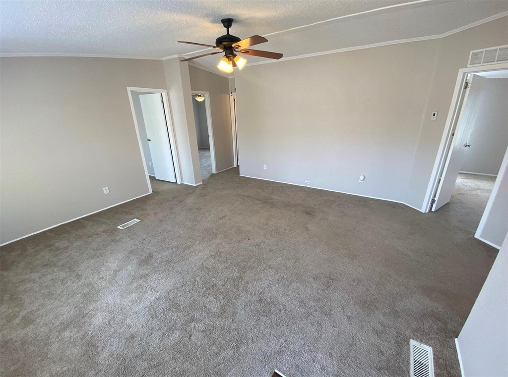 11009 Richardo Lane - Photo 2