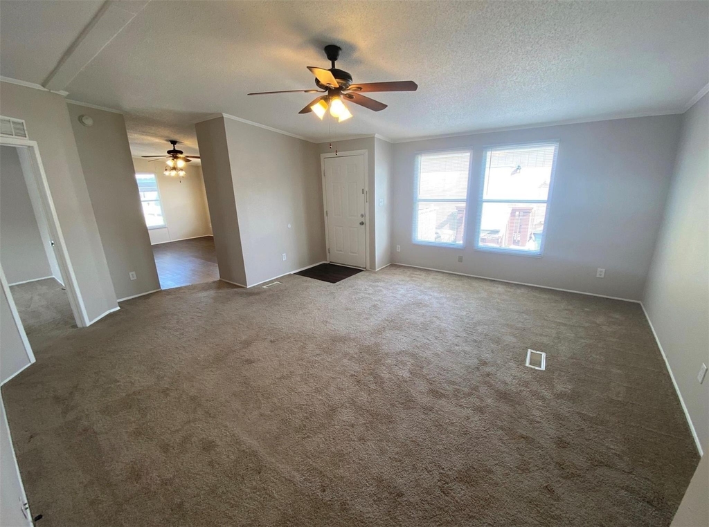 11009 Richardo Lane - Photo 3