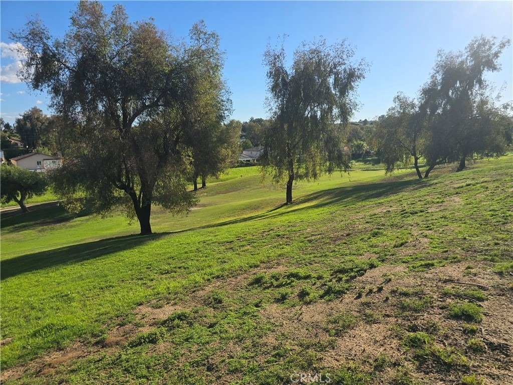 30967 Brassie Lane - Photo 47