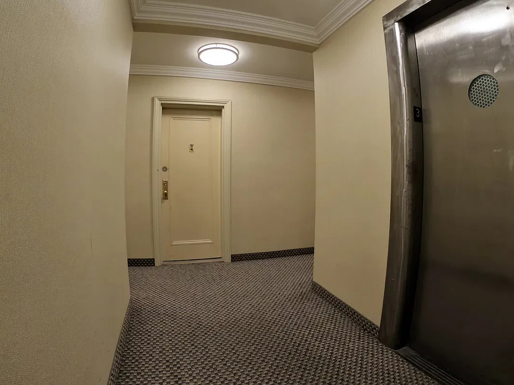 229 East 80th Street - Photo 8