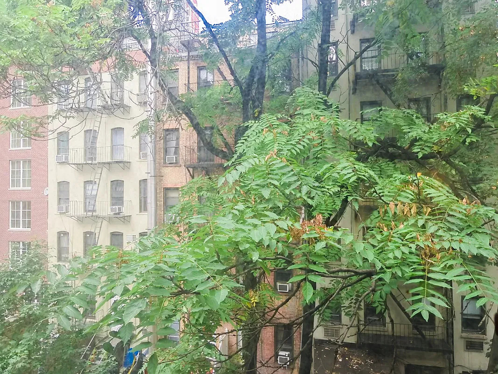229 East 80th Street - Photo 6