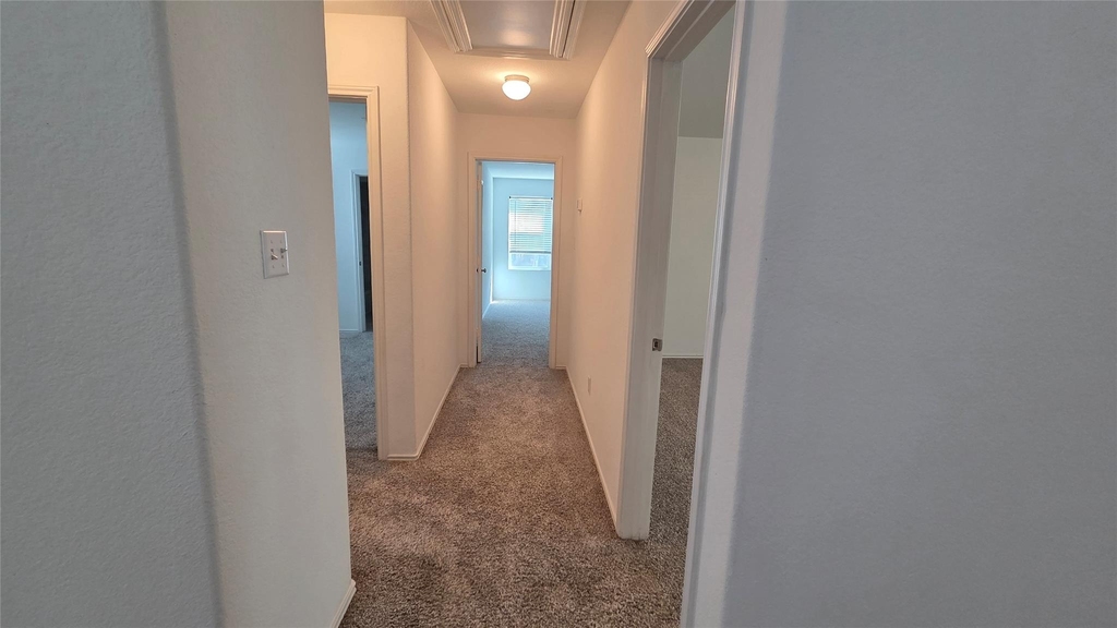 249 Red Buckeye Loop - Photo 19
