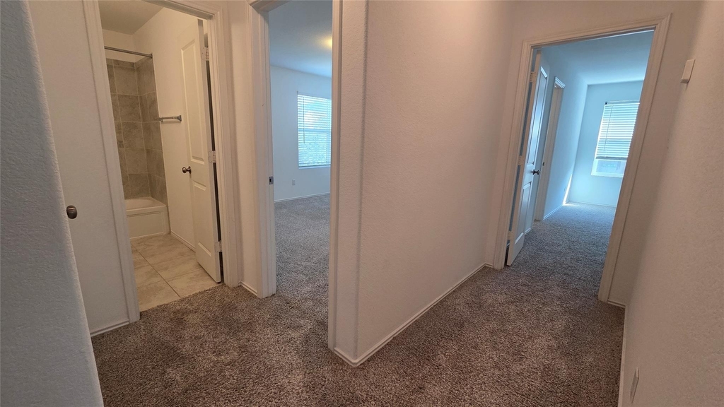 249 Red Buckeye Loop - Photo 18