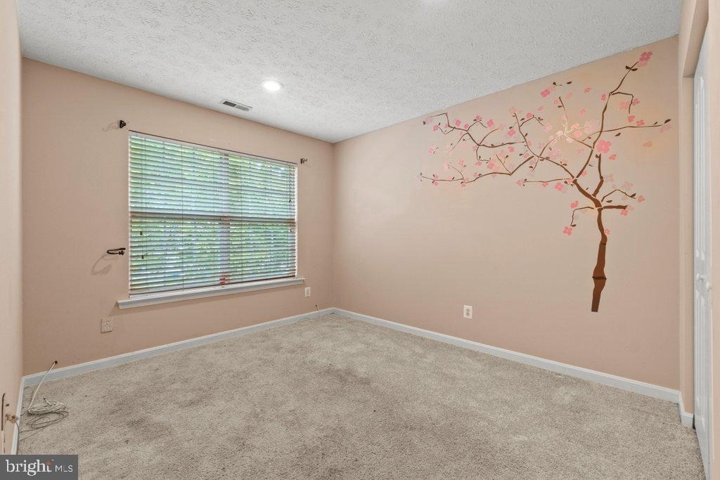 225 Woodland Green Way - Photo 29
