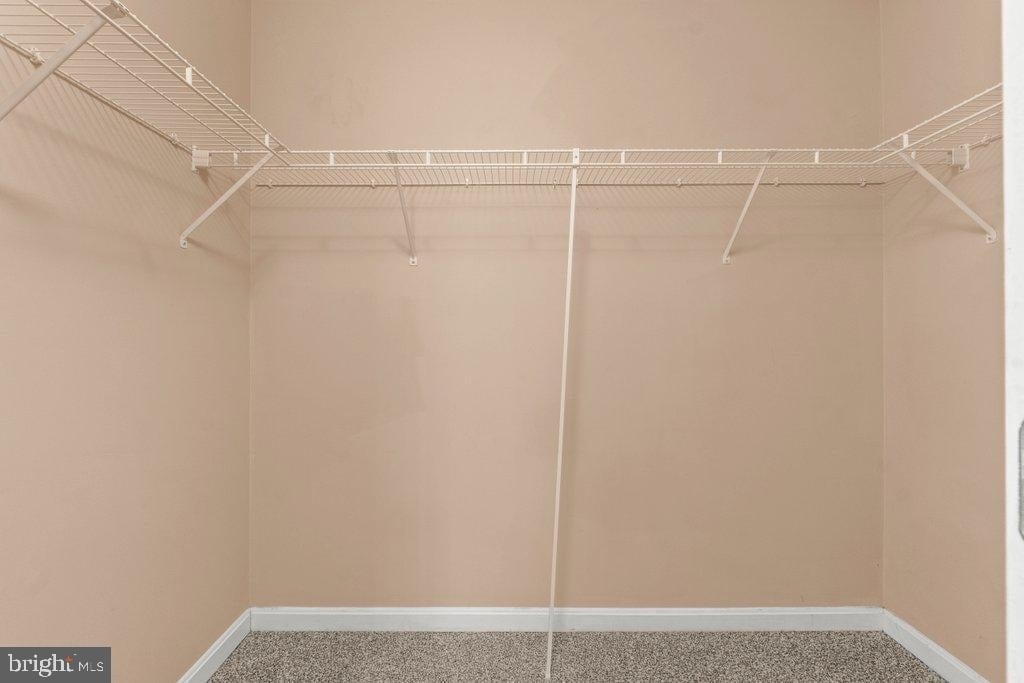 225 Woodland Green Way - Photo 33