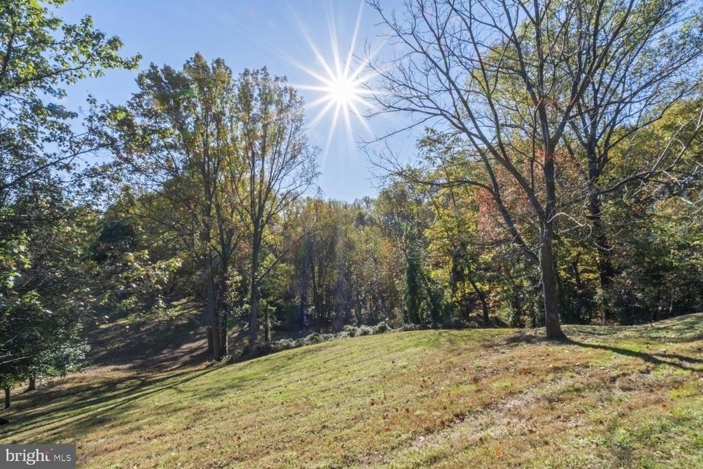 13626 Poplar Hill Road - Photo 5