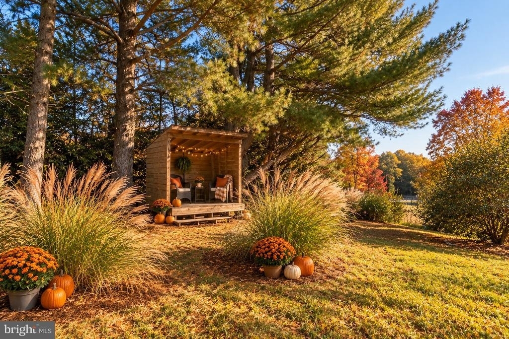 13626 Poplar Hill Road - Photo 4