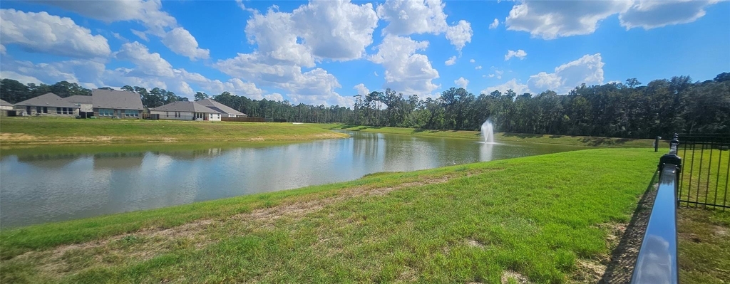 18306 Daisy Bluff Street - Photo 22