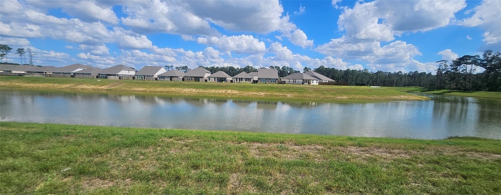 18306 Daisy Bluff Street - Photo 1