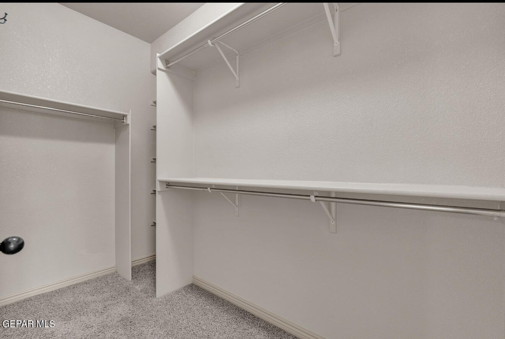 11714 Dos Palmas Drive - Photo 36