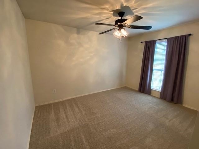 1004 Cutting Horse Drive - Photo 13