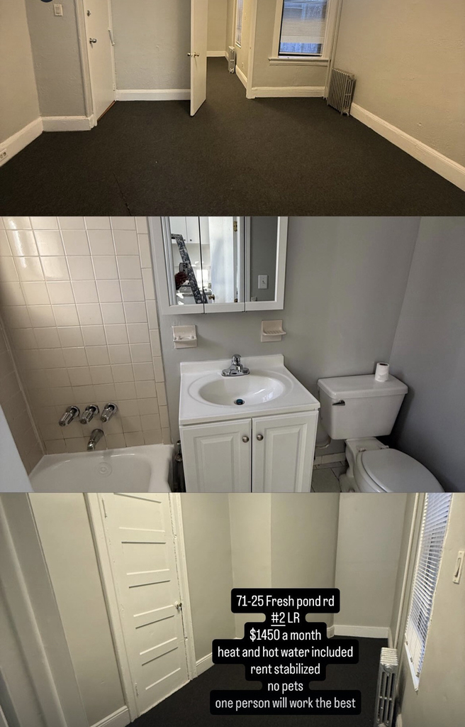 71-25 Fresh Pond Road - Photo 6