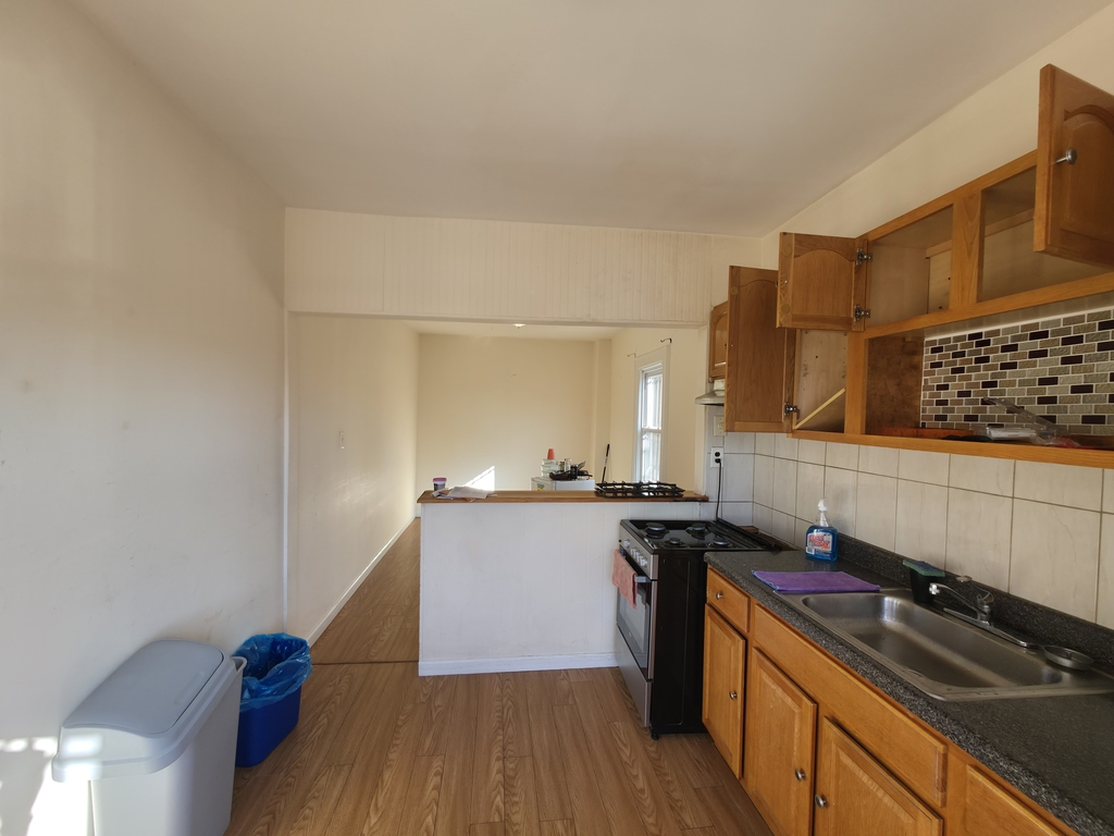 48-45 58th street - Photo 1