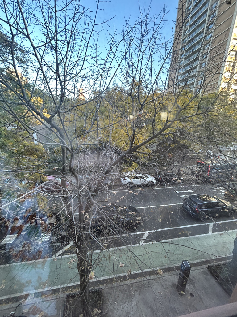 80 Cranberry Street - Photo 2