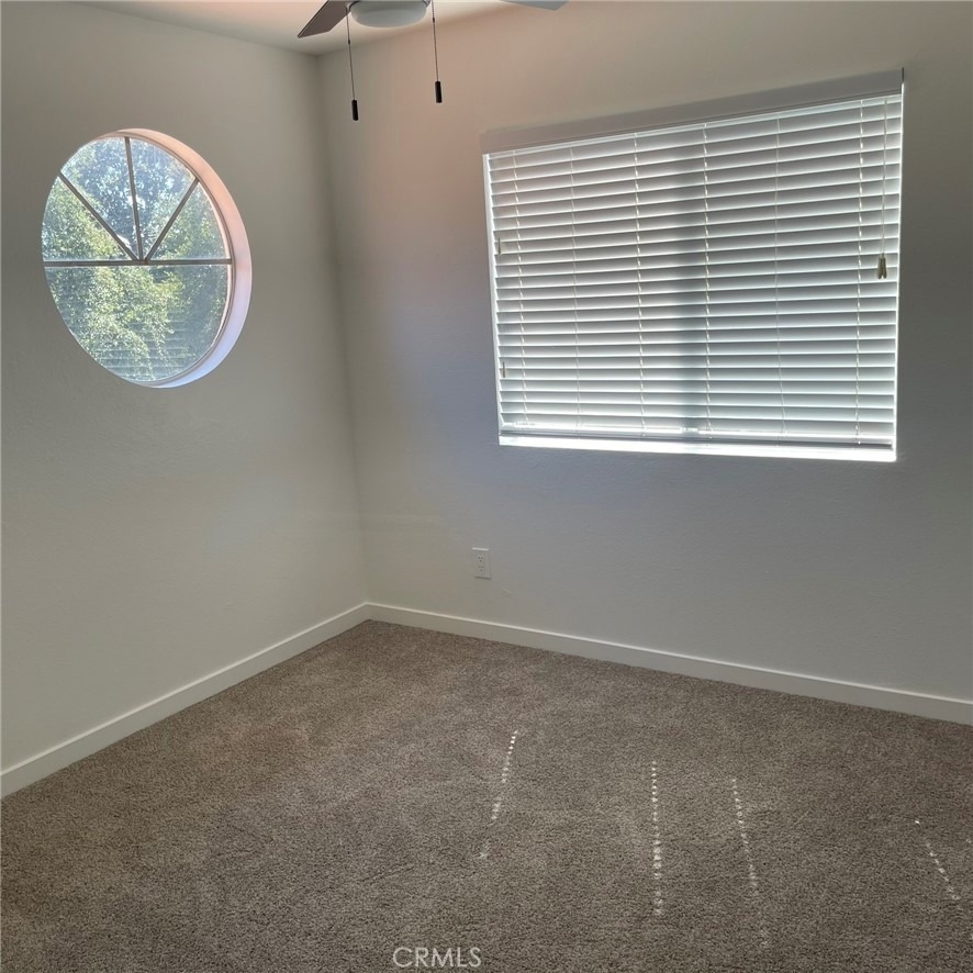 3729 San Lorenzo River - Photo 18