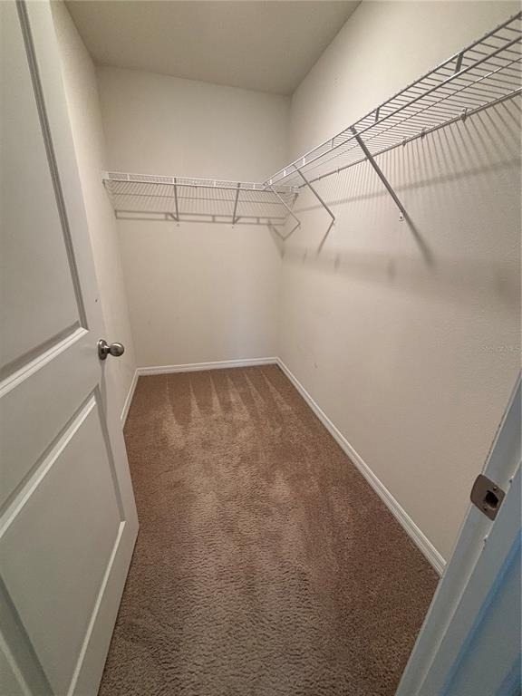 11453 Stone Pine Street - Photo 12