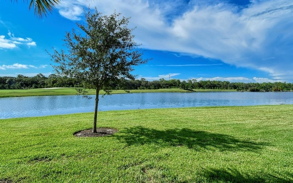 16706 Vardon Terrace - Photo 35