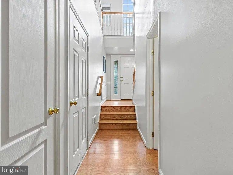 13954 Sawteeth Way - Photo 3