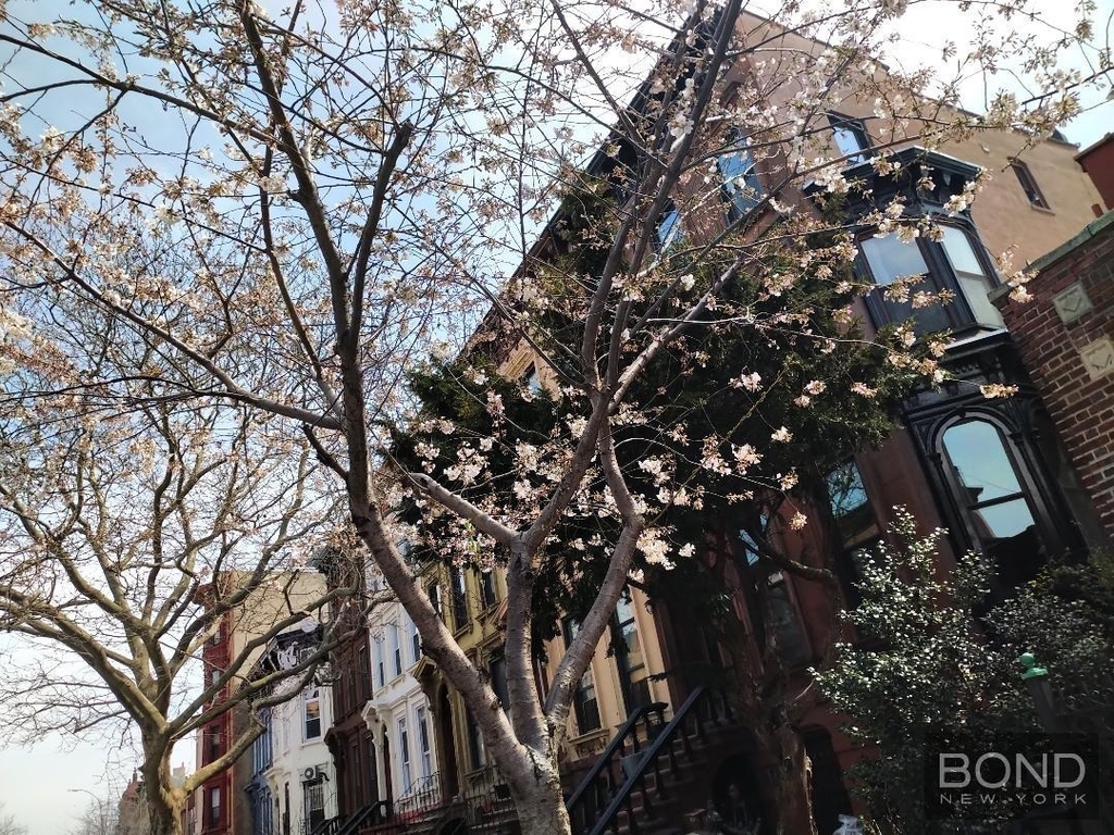 18 Herkimer Street - Photo 11